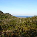 Le saddle, au fond le groupe des îles Palm