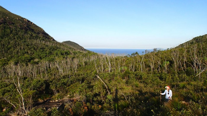 Le saddle, au fond le groupe des îles Palm