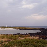 En balade autour de la charmante Griffith Island