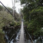 Le pont suspendu au-dessus de la rivière Franklin