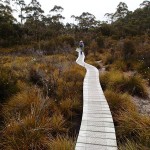 Chemins de bois vs marais insondables (Loddon Plains)
