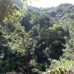 Les Montezuma Falls (104m)