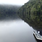 Réflexions sur les eaux lénifiantes