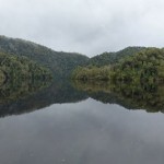 Le miroir de la Gordon River