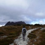 Cradle Mountain (1545m)