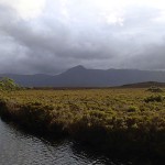 Melaleuca Creek et Mt Rugby (771m)