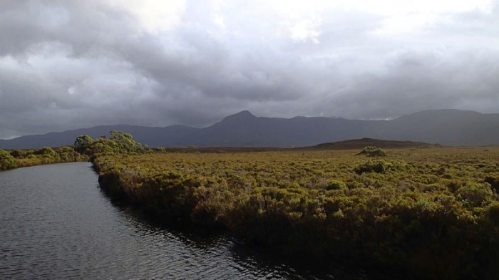 Melaleuca Creek et Mt Rugby (771m)