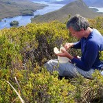 Pique-nique sur les hauteurs, en bas L’Envol dans la Casilda Cove