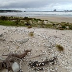 Midden aborigène, au fond le Sugarloaf Rock (Southern Ocean)