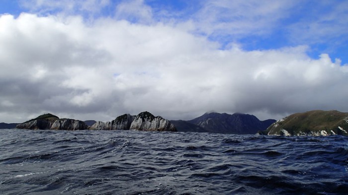 Dommage, le vent est trop faible pour appuyer les voiles dans la houle !