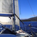 Two Dogs en kayak, L’Envol sous voiles, de Franklin au pont d’Huonville