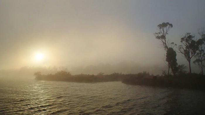 Retour dans le bras Ouest de la rivière Huon