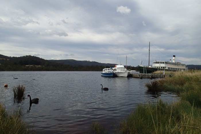 Black Swan et ancien steamer à Franklin