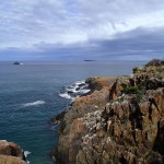 La Tasman Sea avant D'Entrecasteaux Channel