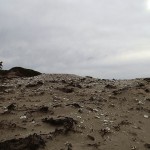 Midden aborigène à Point Lesueur (Maria Island)