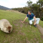 La tondeuse de Maria Island, le wombat !