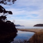 Vue de Safety Cove, les contreforts du cap Pillar et la Tasman Island