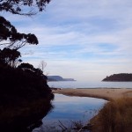 Vue de Safety Cove, les contreforts du cap Pillar et la Tasman Island