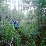 A la recherche du chemin perdu de Denmans Cove (jour 1)