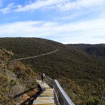 « La muraille de Tasmanie »