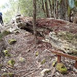 Clark Cliffs Circuit (Tasman Peninsula)