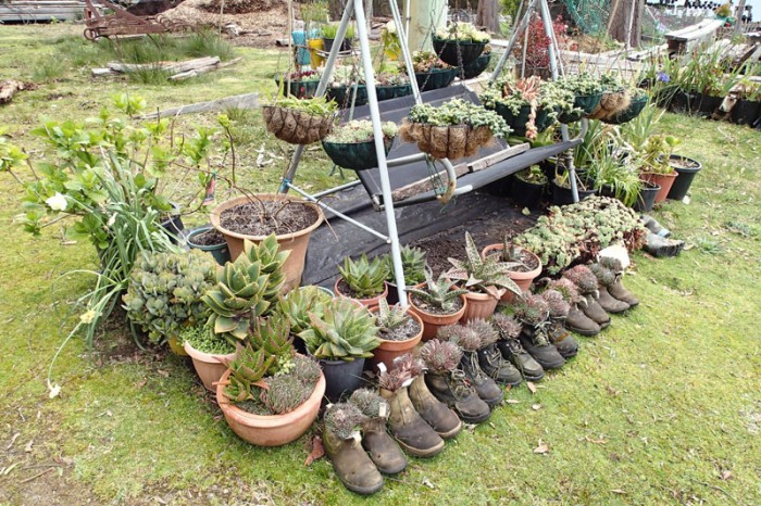 Sur le chemin du retour, un jardin tasmanien