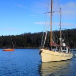 Bob et Sue sur George Bay rentrent à Triabunna, à G le bateau de Tony