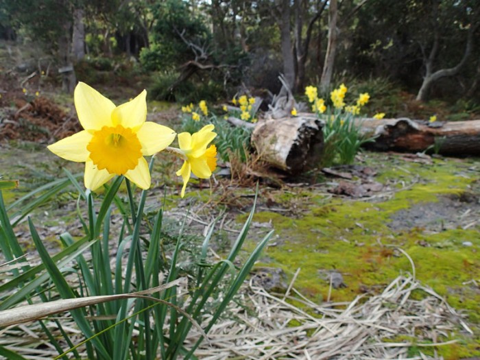 Fin août, le printemps prend la place
