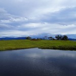 Non loin de Sommers Beach (Murdunna)