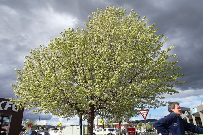 Un printemps avec des nuages dans la tête