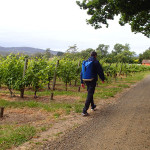 Tournée des agriculteurs de la Tamar Valley