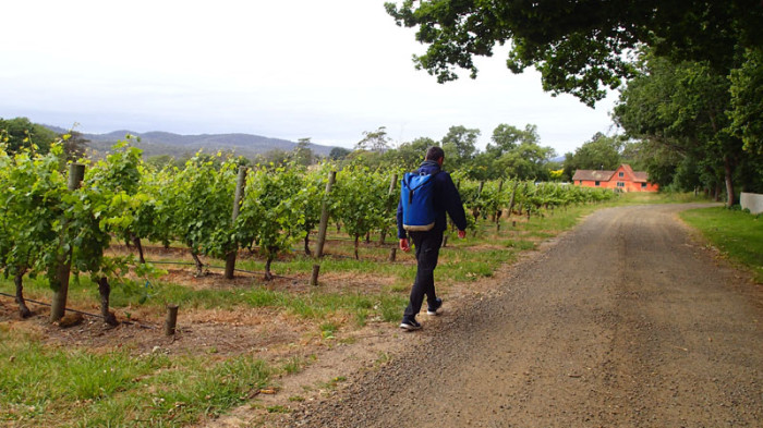 Tournée des agriculteurs de la Tamar Valley