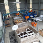 Le centre de tri, calibrage et emballage