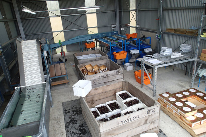 Le centre de tri, calibrage et emballage