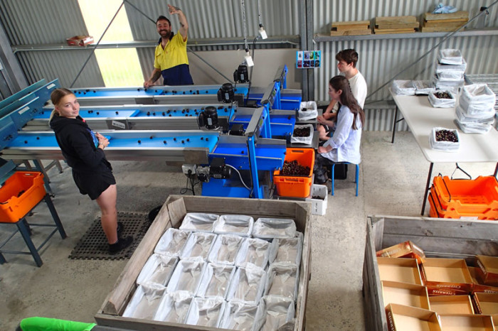 Premier tapis roulant : 3e choix, second : 2e choix, dernier : 1er choix