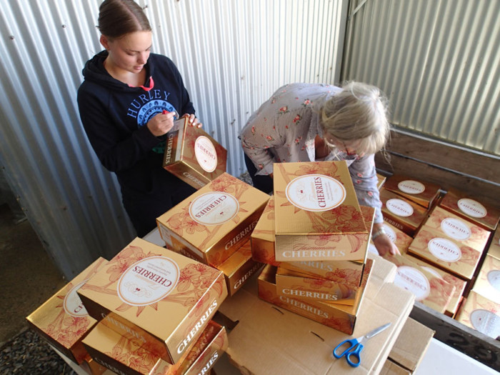 Notation du calibre des cerises sur la boite