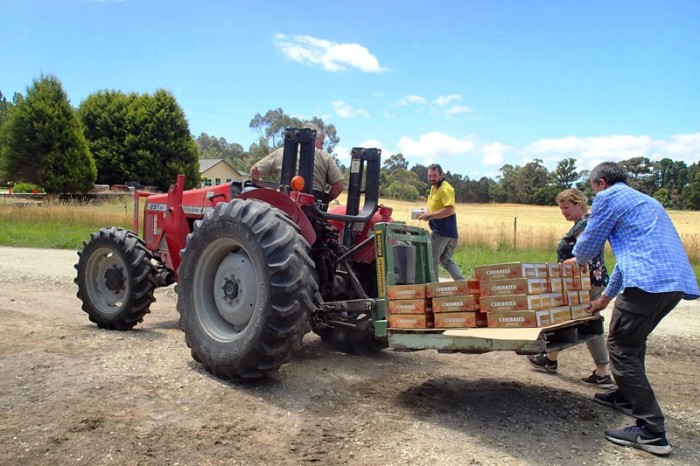 Le trésor en route pour la chambre froide