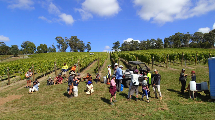 … de toutes les nationalités, bloqués en Tasmanie par la pandémie