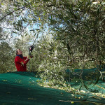 En action avec le peigne vibreur électrique à bout de bras !