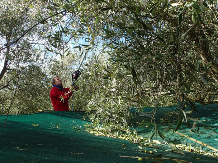 En action avec le peigne vibreur électrique à bout de bras !