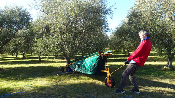 Installation du parapluie contre le tronc et…