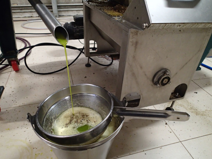 Il faut environ 7Kg d’olives pour extraire 1L d’huile