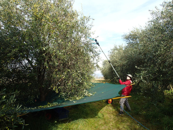Un travail difficile, douloureux pour tout le corps !