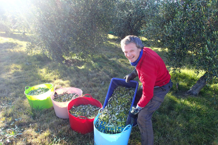 Trop content, la récolte est finie, c’est notre dernier bac d’olives !