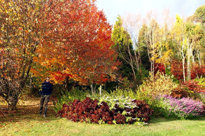 L’automne dans le jardin, une création de Bob