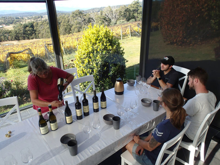 Une sélection parmi les 17 variétés de raisins du vignoble