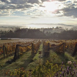 Il n’y avait rien en 1989 quand Bob et Rita ont commencé à planter à Glengarry !