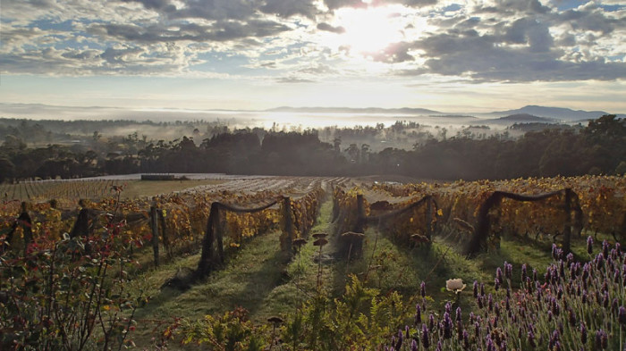 Il n’y avait rien en 1989 quand Bob et Rita ont commencé à planter à Glengarry !