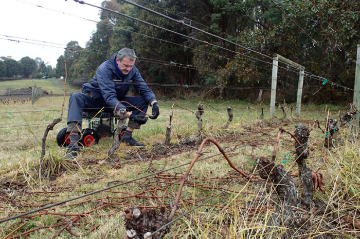 ... le peu qui reste doit être arcbouté et accroché sur le câble inférieur...