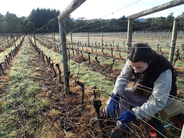 ... un geste qui sera à répéter 35'000 fois : un travail de moine !